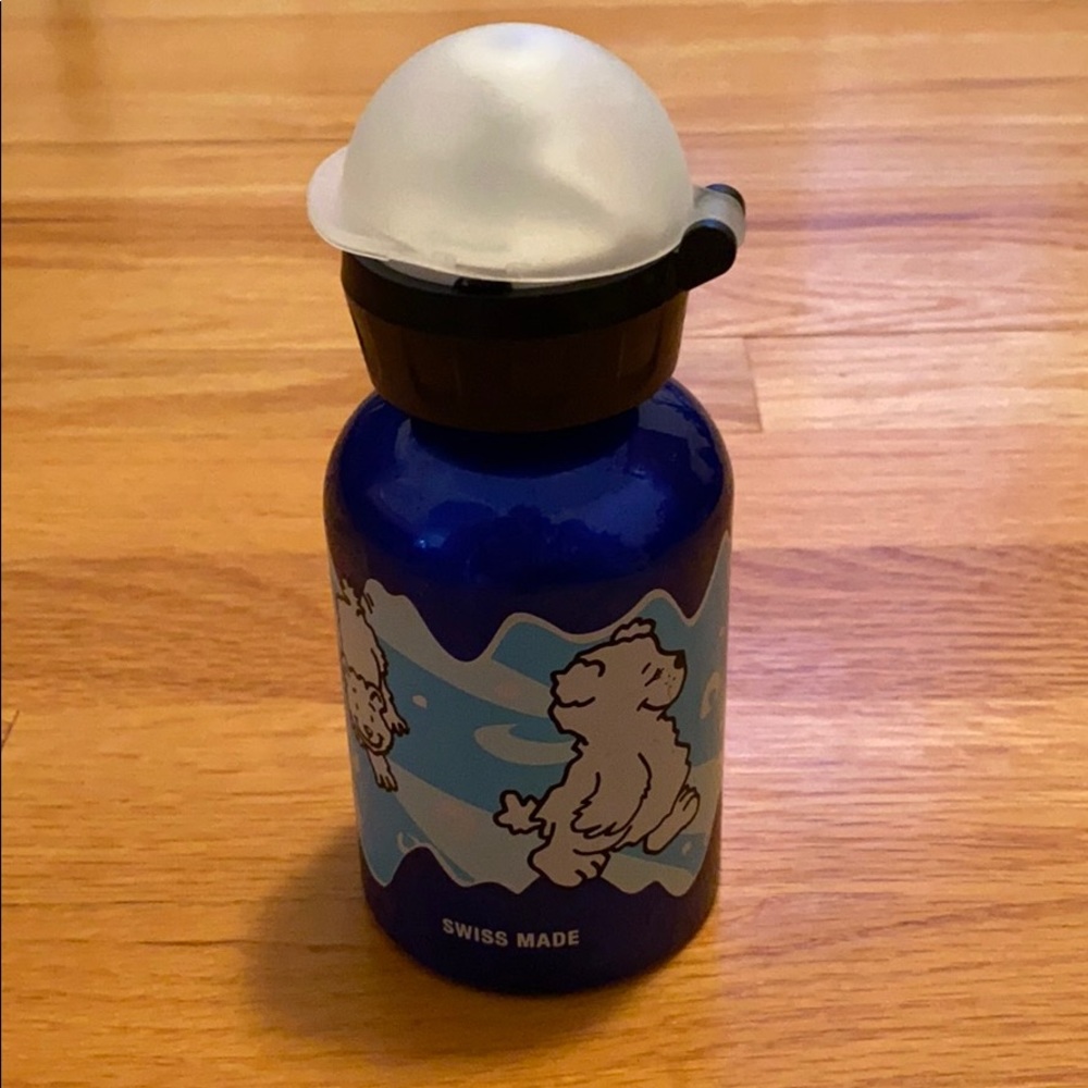 Sigg Metal Thermal bottle